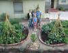 Family veg